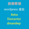 wordpress建站视频教程，外贸网站。使用astra, elementor, dmandwp