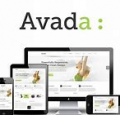 wordpress主题 avada视频教程